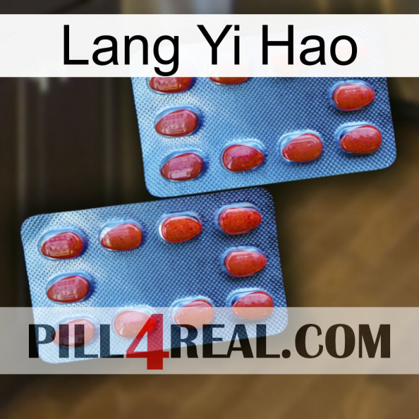 Lang Yi Hao 05.jpg